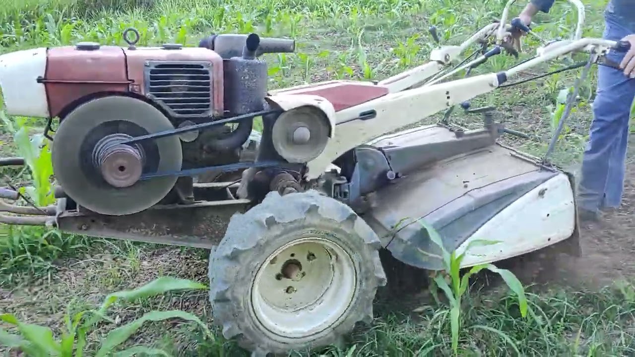 Micro trator Tobata yanmar TC11 passando enxada rotativa - 🌽🌽🌽
