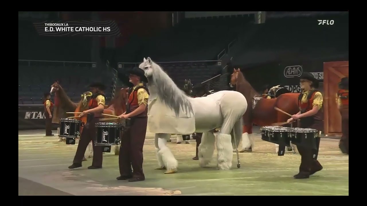 E D White Indoor Percussion 2025