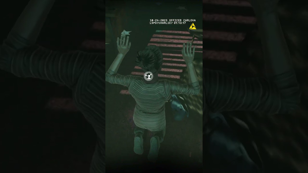 We are Allowed to Shoot Back  #voidinteractive