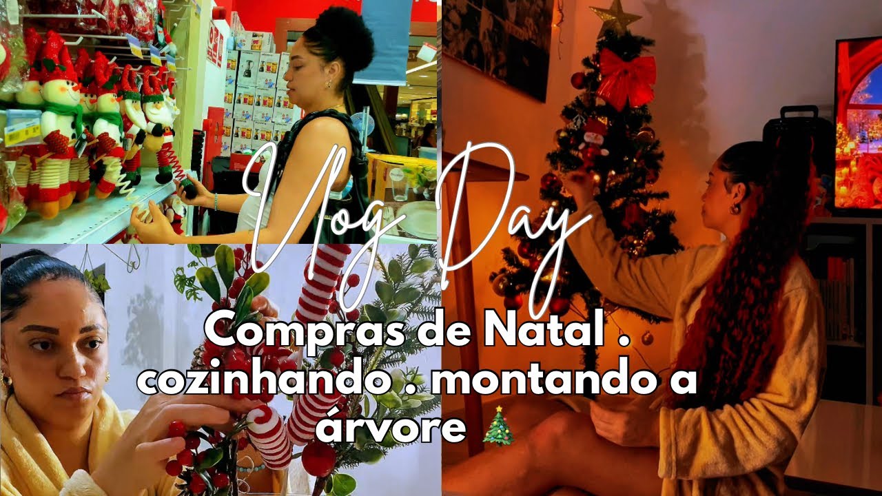Alguns dias comigo: Comprando decoração de Natal,cozinhando e montando a árvore 🎄