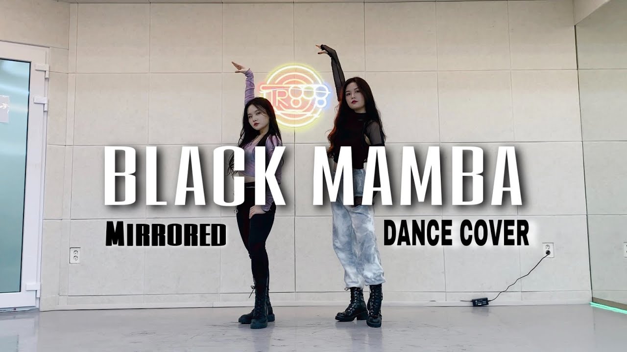 [거울모드/Mirrored]에스파 aespa - BLACK MAMBA 2인 안무 | 커버댄스 Dance Cover