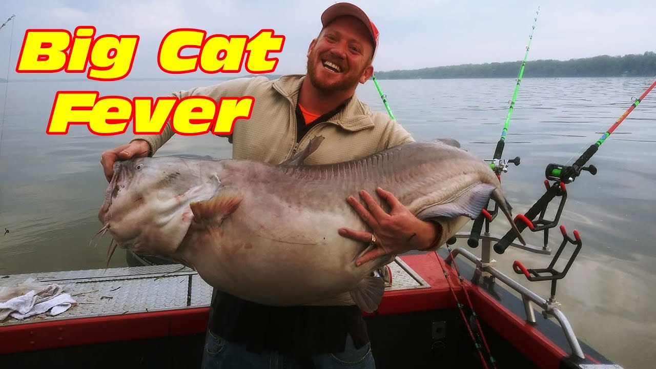 Monster rod holders Big catfish spotlight