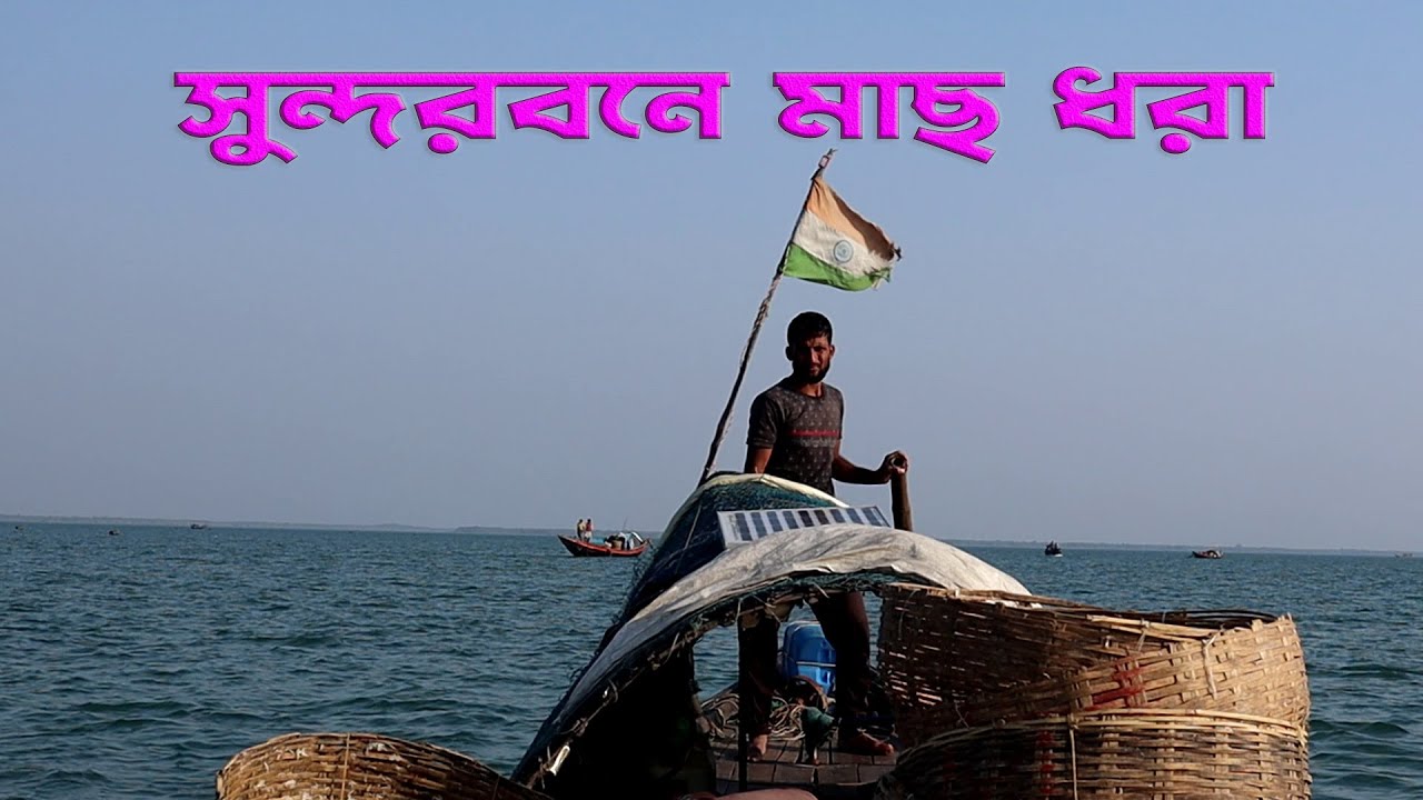 sundarban river fishing || বিদ্যা নদীতে মাছ ধরা || sundarban fisherman life