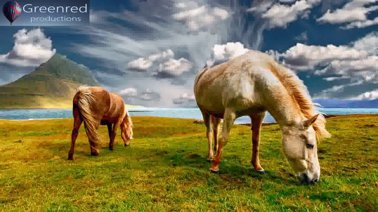 Happiness Frequency - Serotonin, Dopamine and Endorphin Release Music, Binaural Beats for Happiness