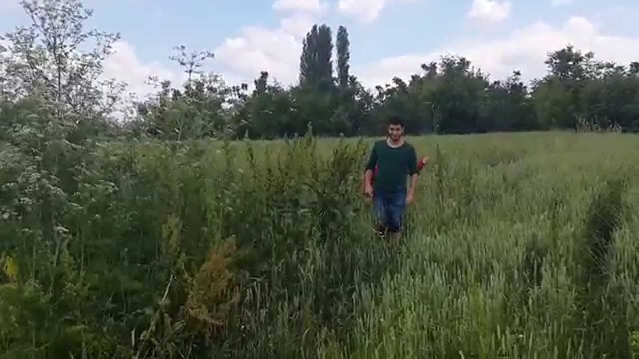 KAYNARCA KÖYÜ-PINAR HİSAR