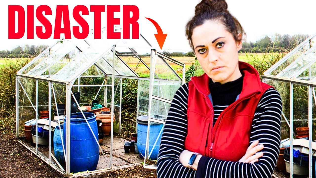I tried restoring my glass greenhouse, but it went WRONG! {+ Potting Bench}