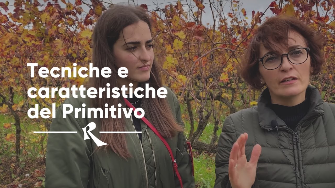 Plantamura | Gioia del Colle, Puglia - Tecniche e caratteristiche del Primitivo di Gioia del Colle