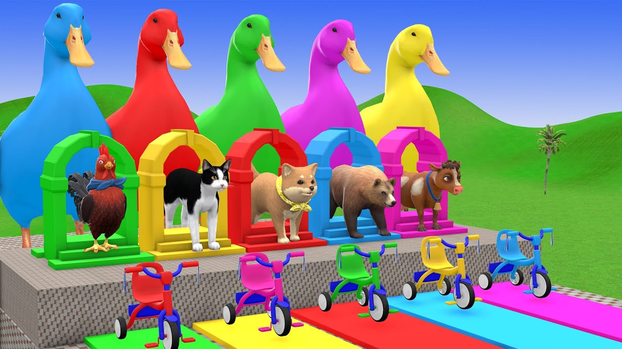 5 Giant Duck Cartoon,Cow,Elephant,Tiger,Lion,Dinosaur,Paint Wild Animals Crossing Fountain Animation