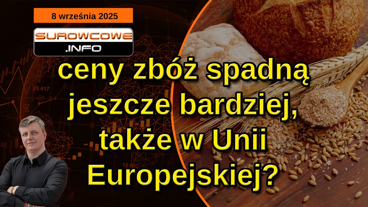 Surowcowe info 8 września 2025 &ndash; ceny zb&oacute;ż🍞 spadną↘️ jeszcze bardziej, także w Unii Europejskiej?🇪🇺
