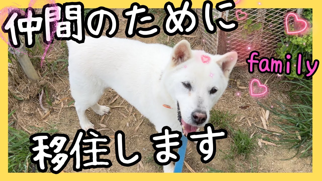 ケンのために人肌脱いで移住する男前な北斗（笑）