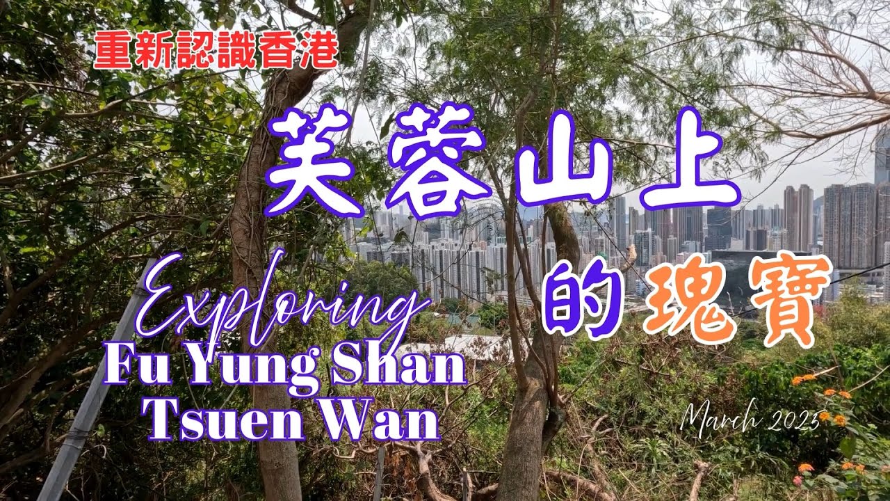 #fuyungshan #buddhism #monastery (English subtitles/中文字幕)芙蓉山的瑰寶:南天竺寺,竹林襌寺, 東林念佛堂,觀音巖,虛雲法師紀念堂,上天竺,...