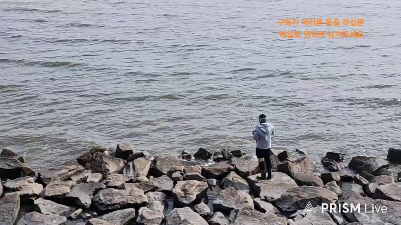 26년 2월27일 영종도 숭어 나올까? 2물 650