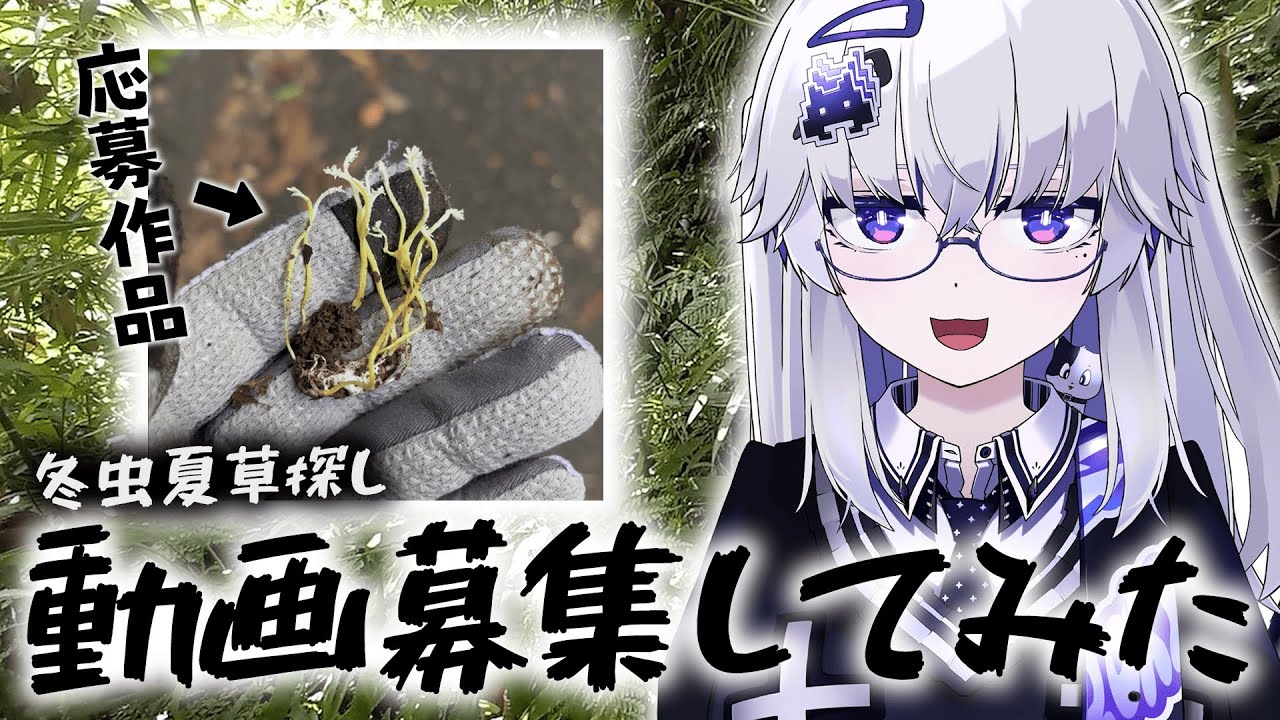 【参加型】みんながみつけた冬虫夏草たち、紹介してみた！【VEE/亞生うぱる】