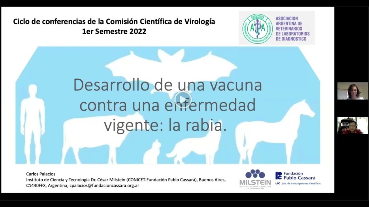 Desarrollo de una vacuna contra una enfermedad vigente: la rabia.
