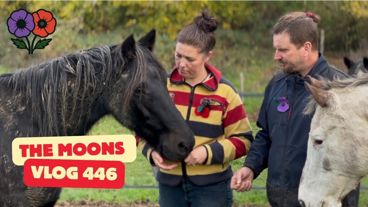 “The Brave Old Horse Who Got a Second Chance”