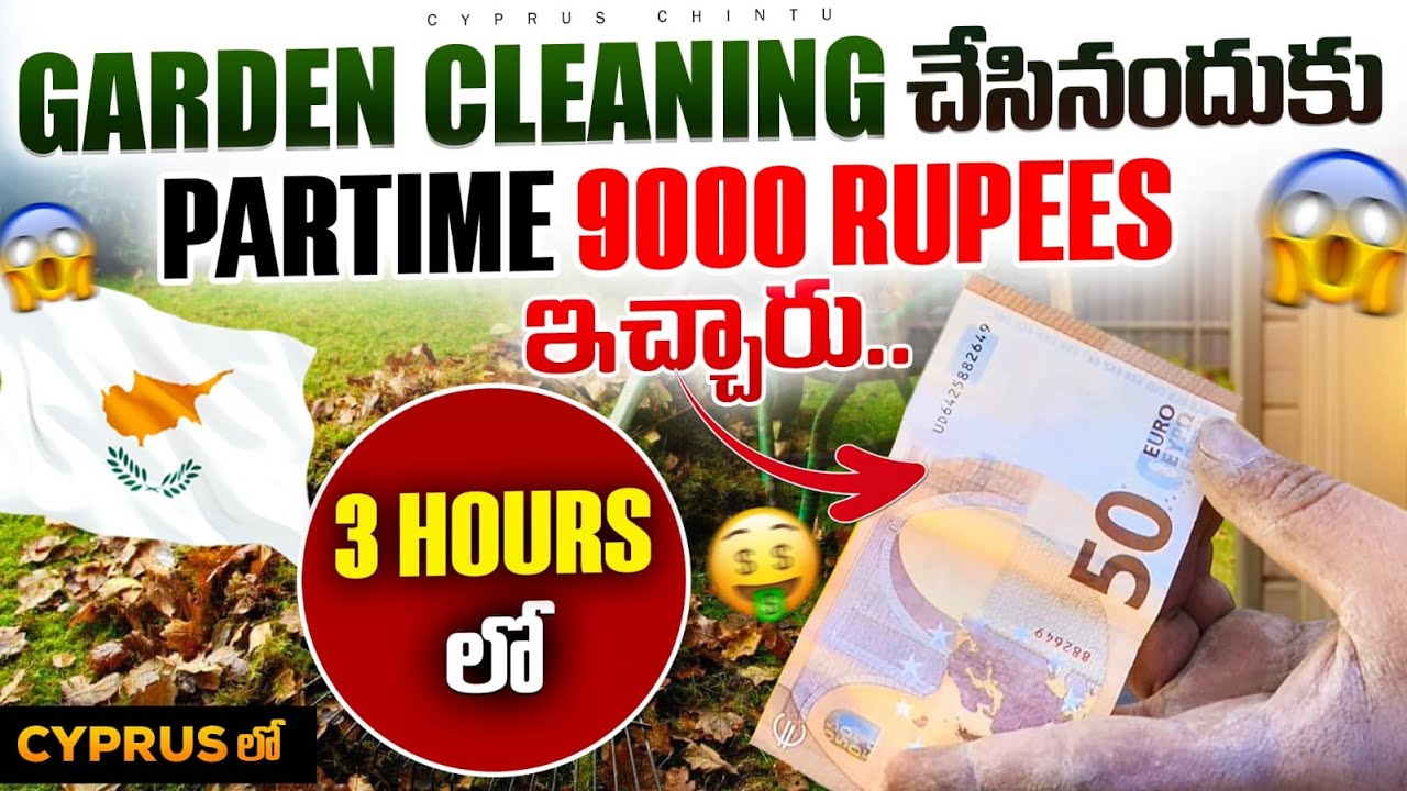 Cyprus country లో garden cleaning చేసినందుకు 9000 rupees icharu part time#Cyprus_telugu#cyprus_chint