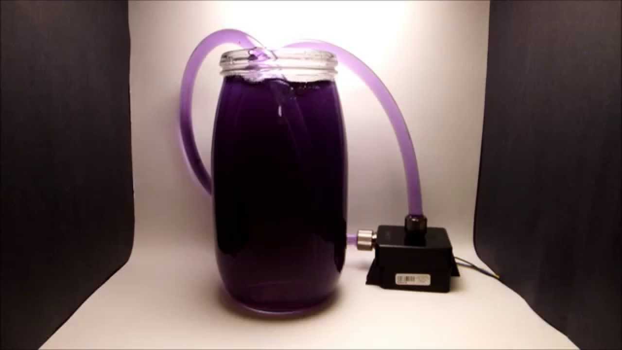 Mayhems Dye Deep Purple