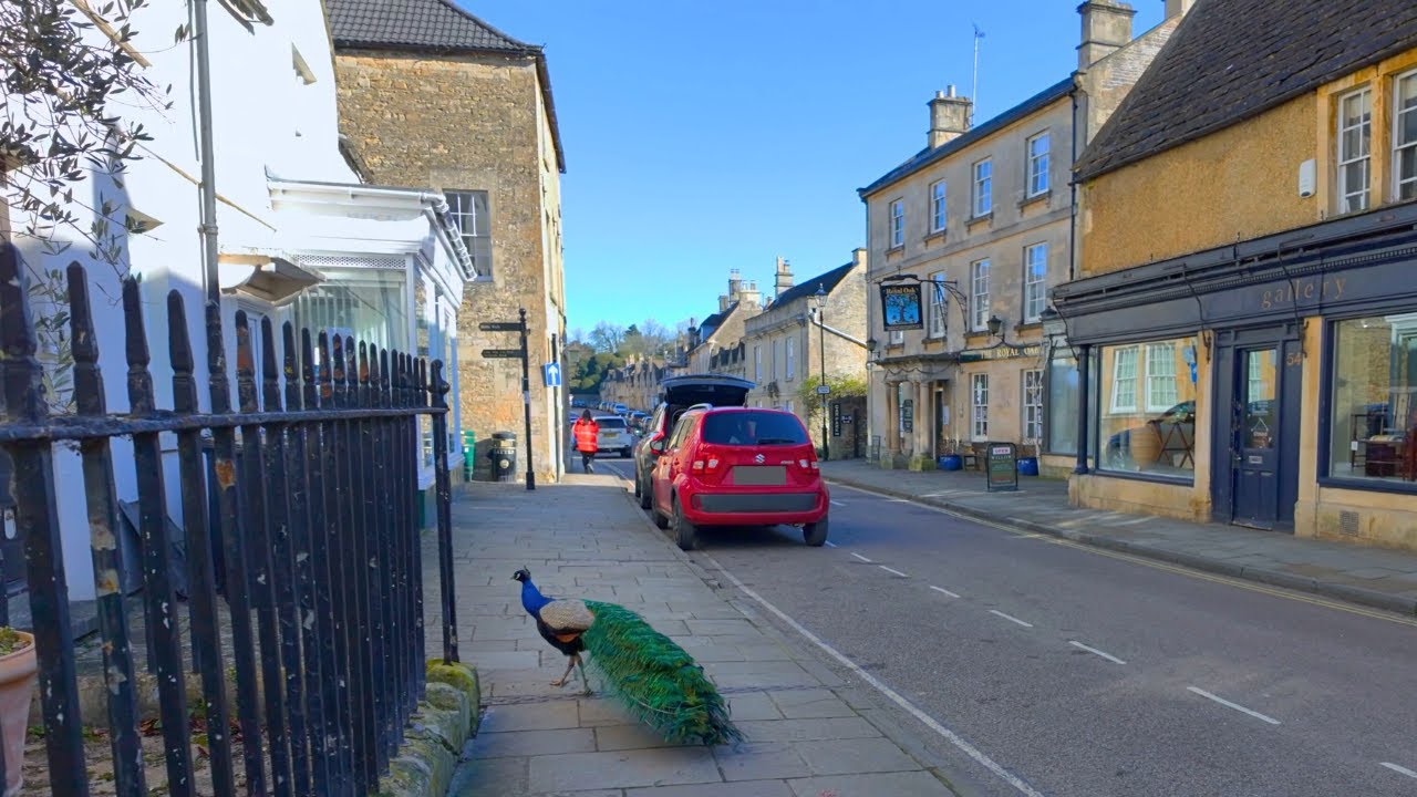 Wild Peacocks in a Stunning Cotswold Village 🦚 Hidden Gem Corsham | Relaxing 4K Morning Walk