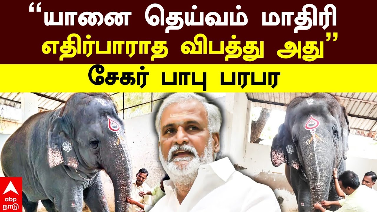 Sekar Babu on  Elephant Attack | ’’யானை தெய்வம் மாதிரி எதிர்பாராத விபத்து அது’’ சேகர் பாபு பரபர