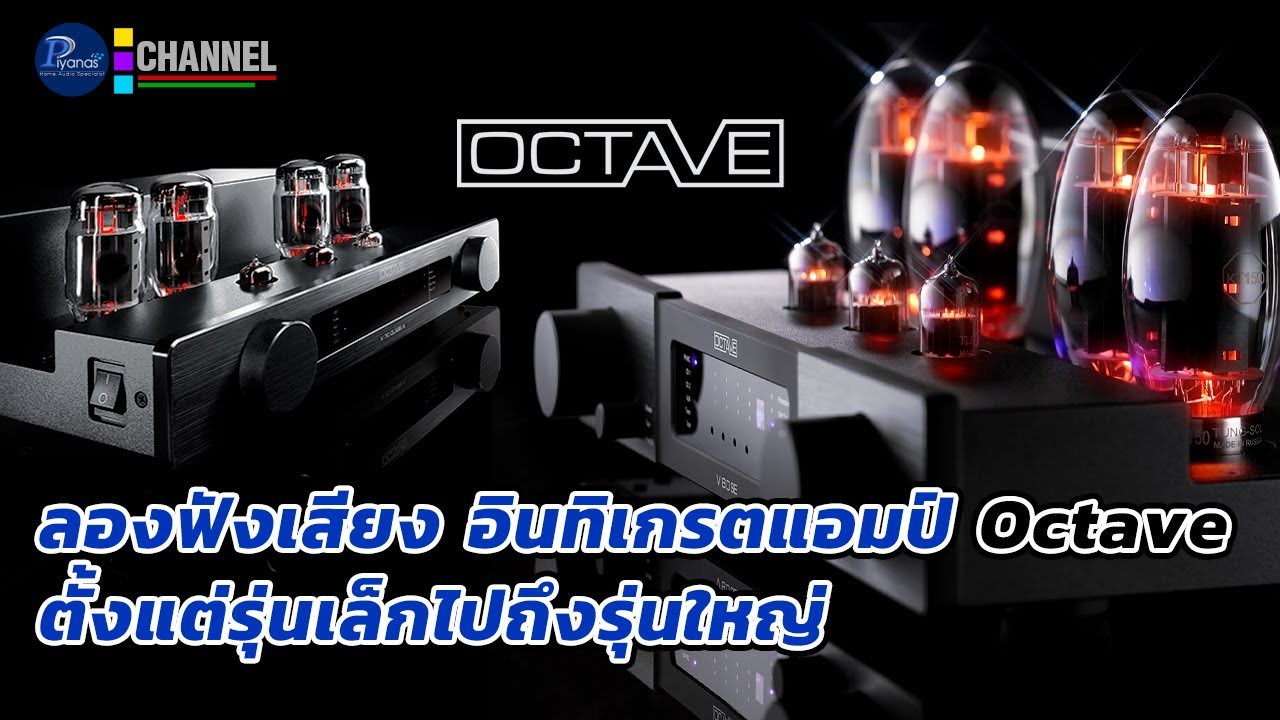ลองฟังเสียง อินทิเกรตแอมป์ Octave ตั้งแต่รุ่นเล็กไปถึงรุ่นใหญ่