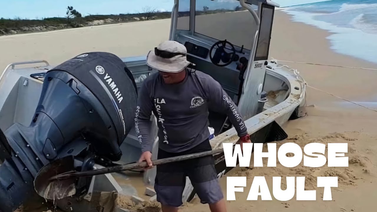 Massive 13ft2 Landbased Tiger Shark 2020 & Wrecked Boat