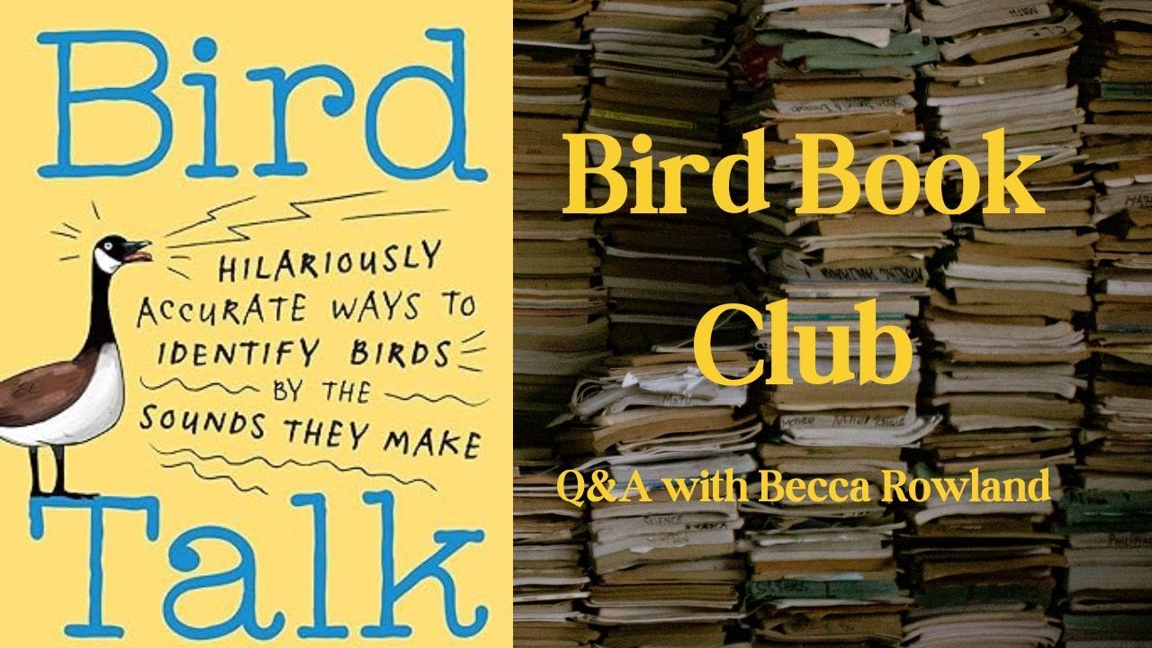 Bird Book Club - Bird Talk Author Q&A with Becca Rowland