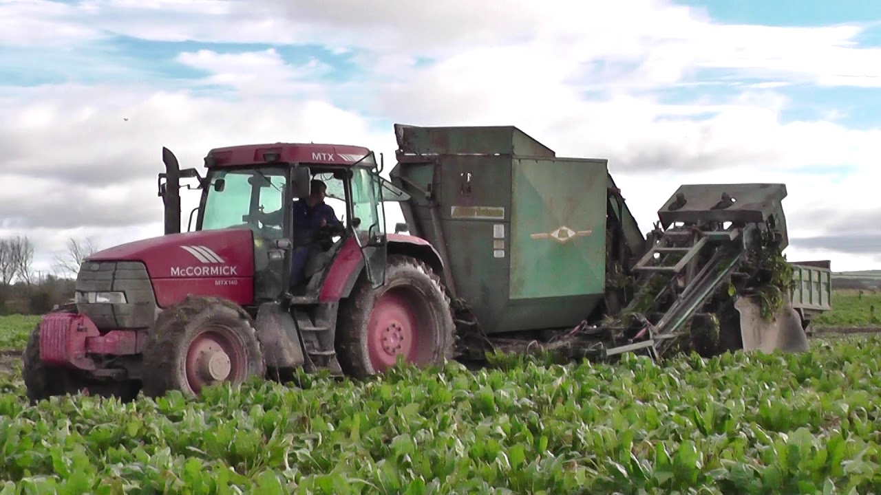 Beet Harvesting McCormick & Armer Salmon Harvester