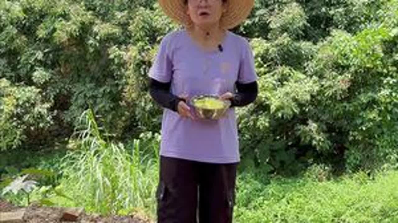 硫磺八角是怎么做出来的你知道吗？#八角#香料