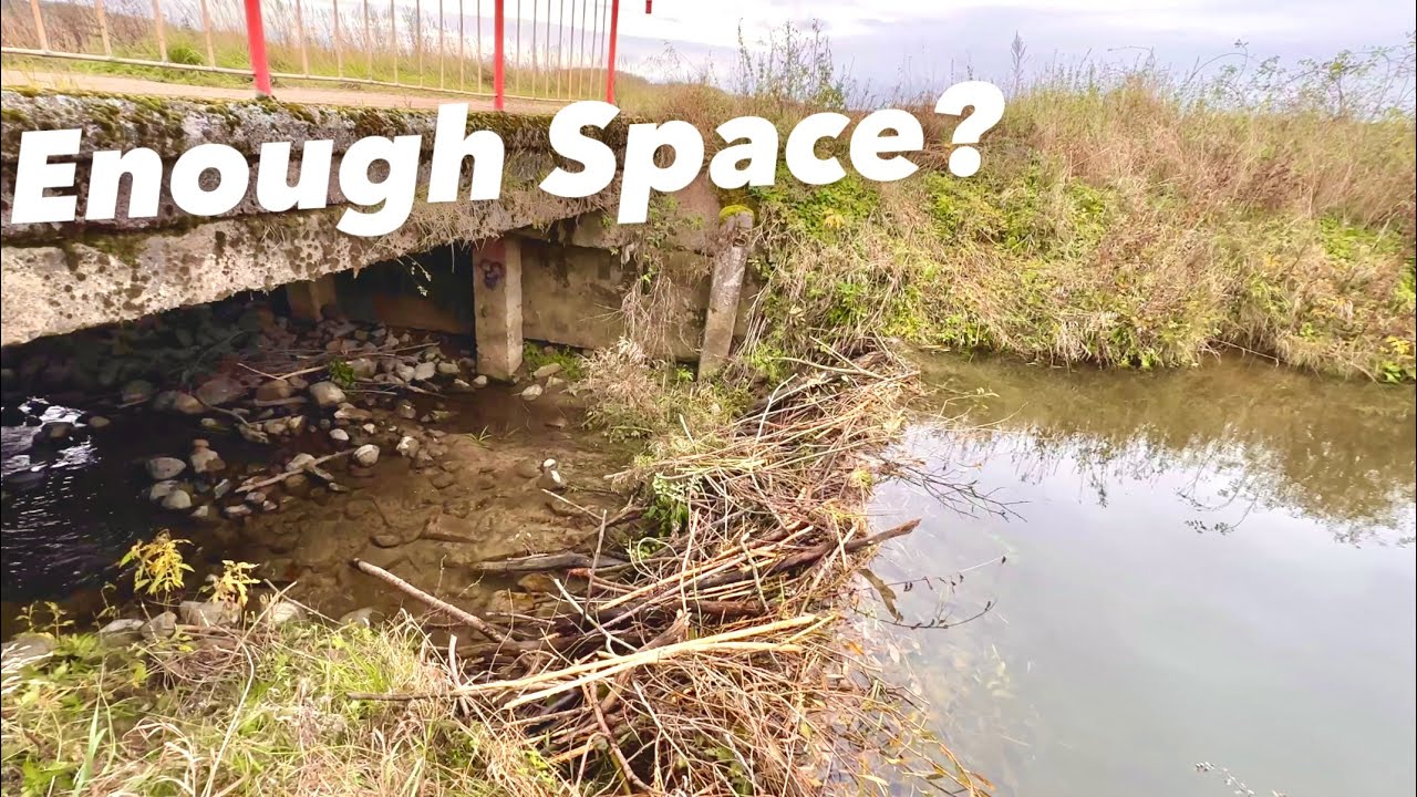 Collapse Under The Bridge!