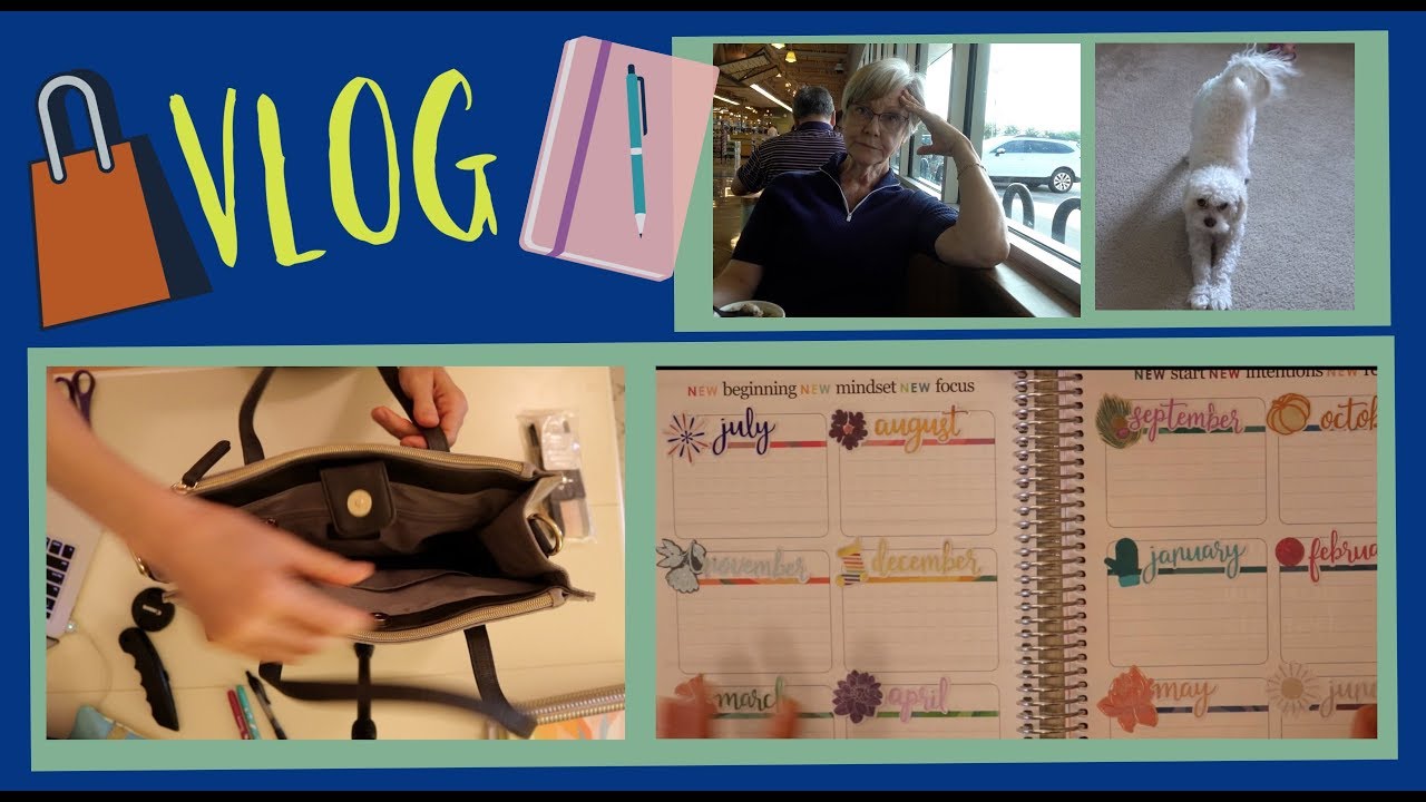 VLOG: ERIN CONDREN PLANNER TOTE & NEW STICKERS| DR DRAY