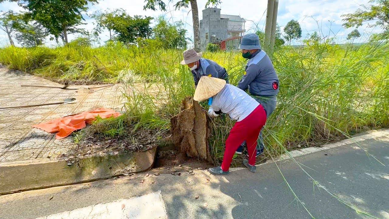 It took 2 days to clean up the overgrown grass on both sides of the wide sidewalk | Clean Up Lawn