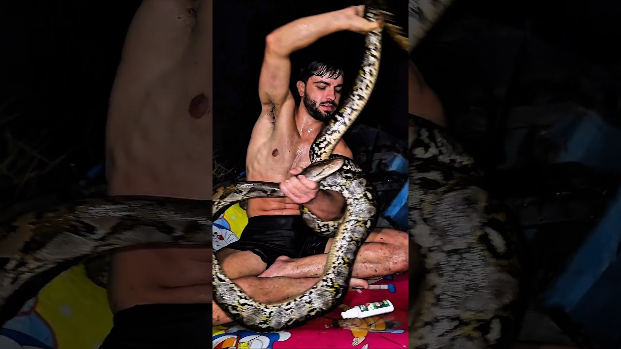 Наука о змее! 🐍