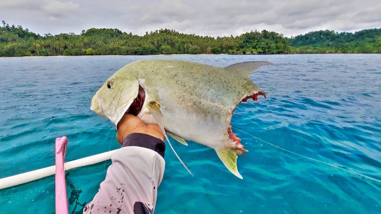 Terlalu Ganass GT Babon Sampai Kena Begal || Mancing Casting Pakai Umpan Minow Dan Micro Jig