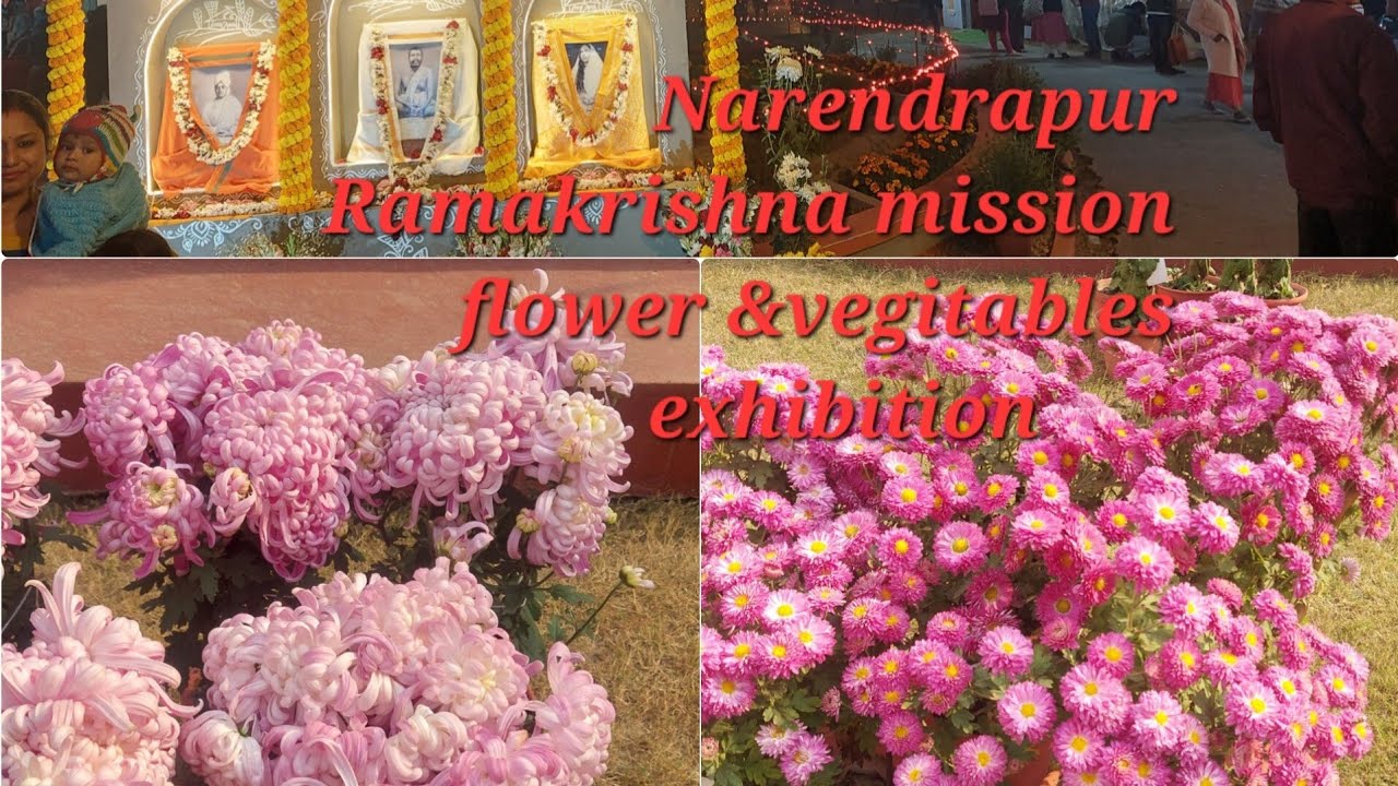 Narendrapur Ramakrishna mission flower plant & vegitables, fruit exhibition l