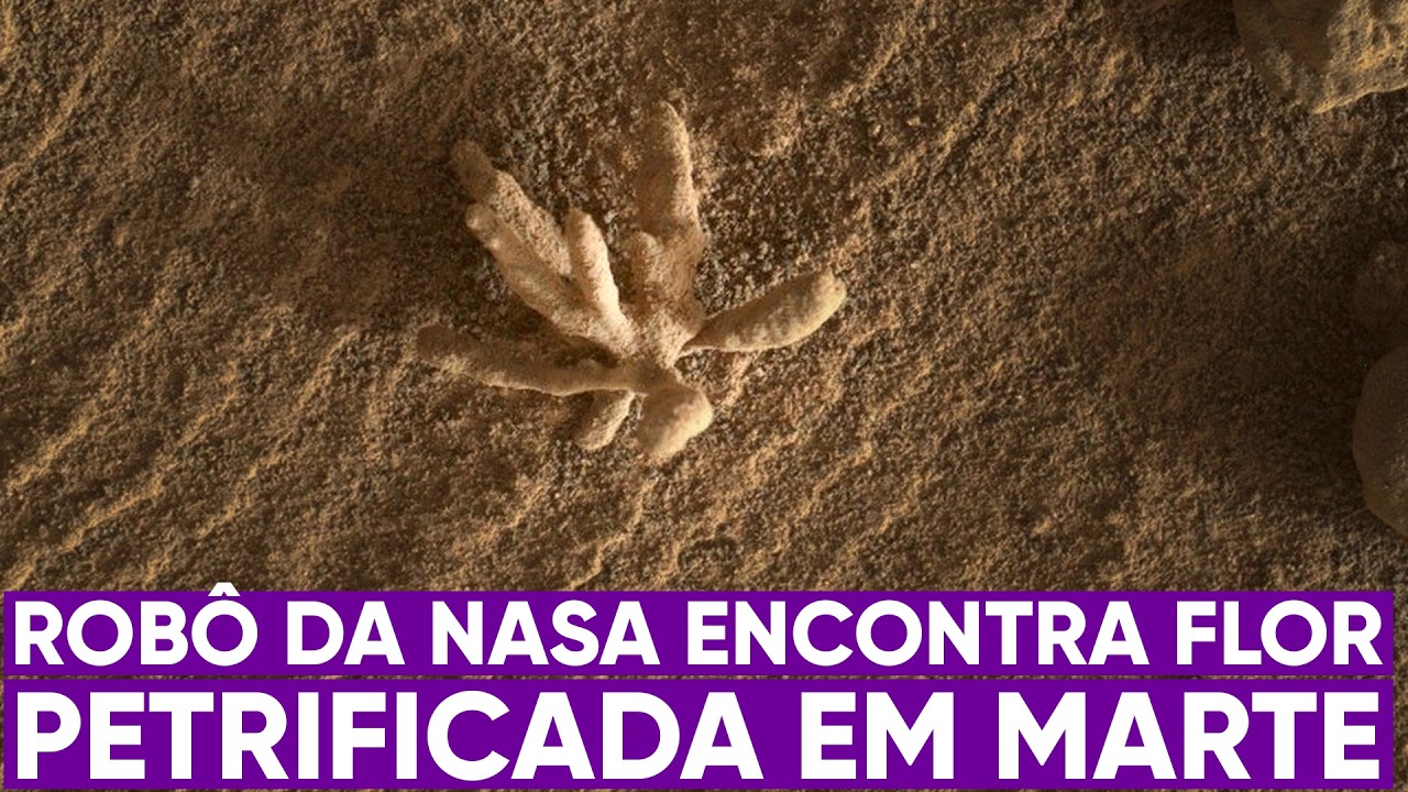 NASA encontra ‘flor’ petrificada em Marte