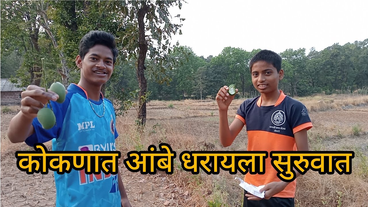 कोकणात आंबे धरायला सुरुवात झाली#kokani mulaga vlogs 