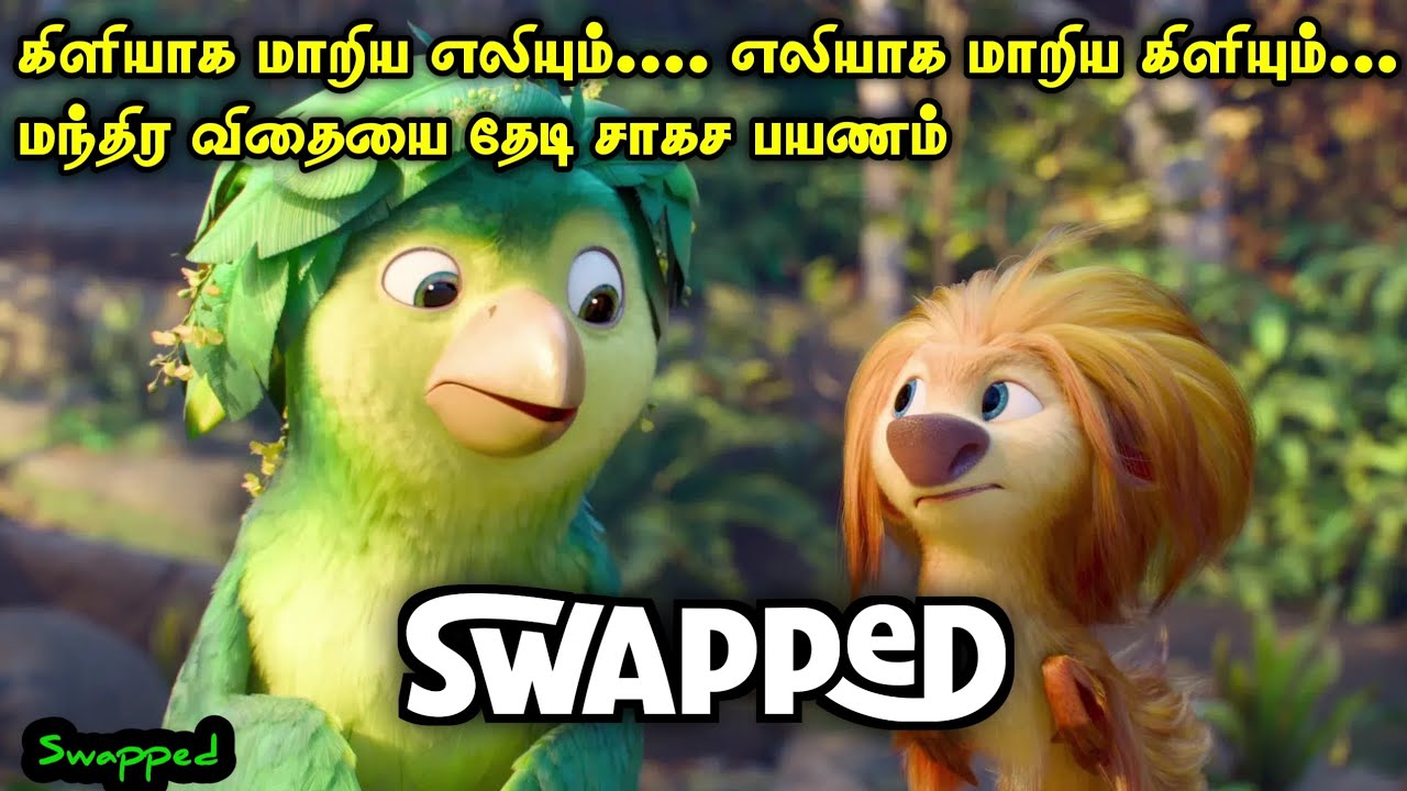 கிளியும் எலியும் செய்யும் அட்டகாசங்கள் | Movie explanation in tamil | Voice of Karthi 