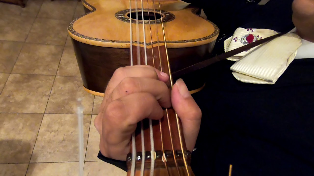 Mariachi Mi Ciudad - Amaneci Otra Vez Entre Tus Brazos