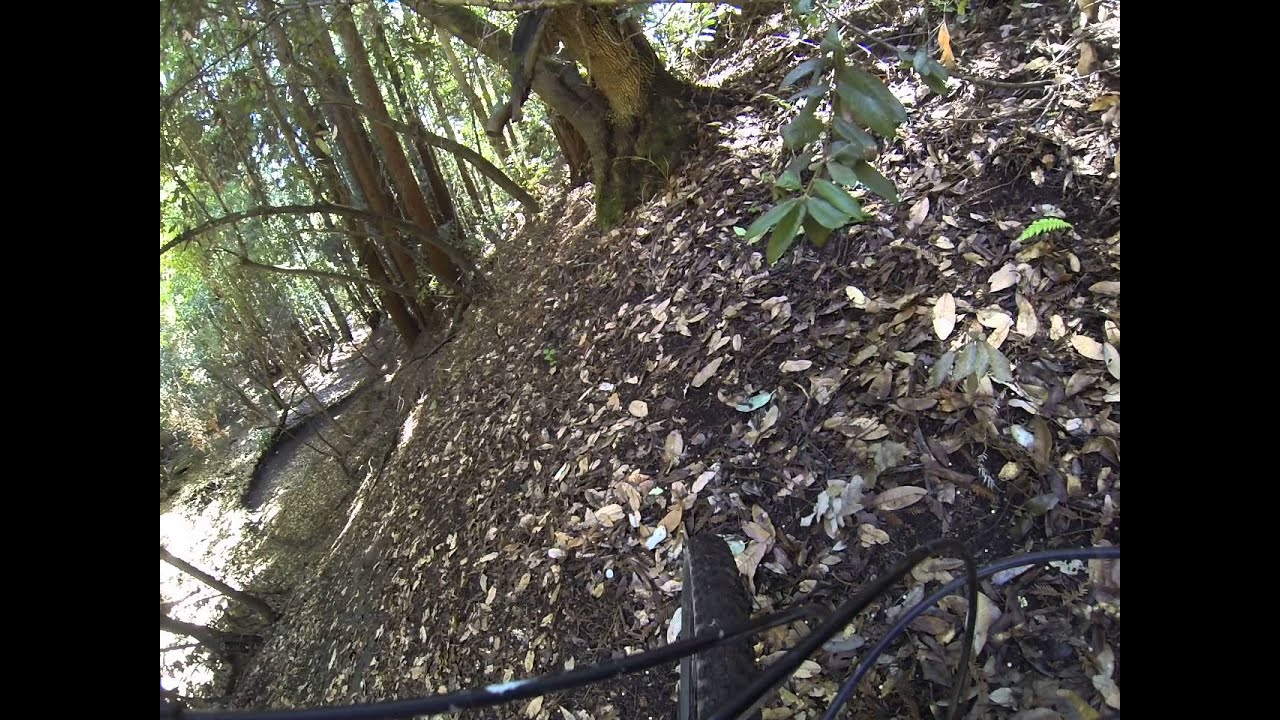 UC Santa Cruz downhill - Buddha Ride Track