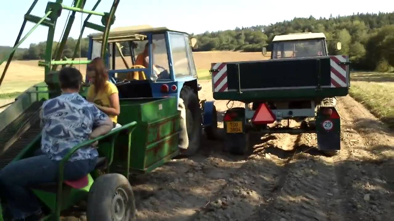 Vyorávání brambor
