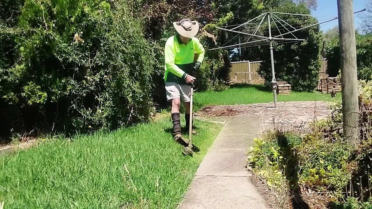 Push Mow -  Honda HRU196 Buffalo Pro #lawncare