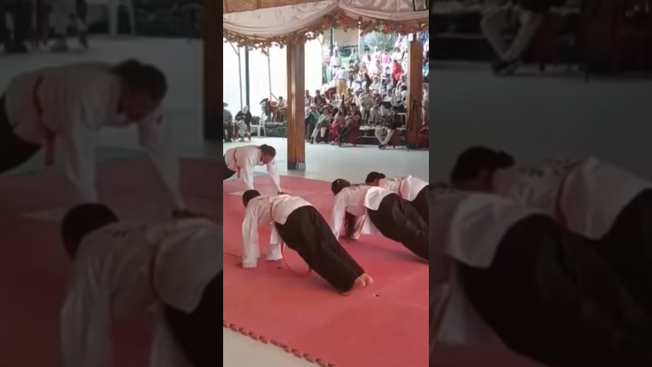 presentasel de hapkido templo 2026