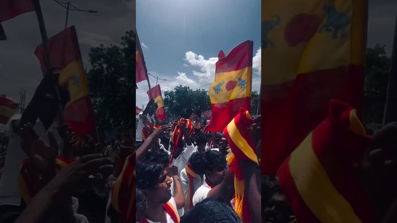 #shortsfeed #tvk#tvkvijay #tvkthalapathy #karurcampaign#karur#campaign#tvkcampaignkarur#tvkcampaign