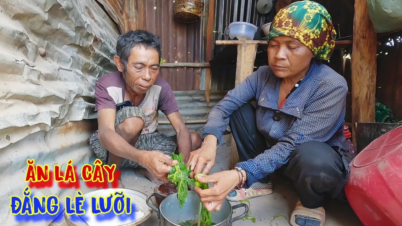 MÓN ĂN của người nghèo, đắng lè lưỡi, ăn LÁ CÂY từ gốc đến ngọn - tập 991