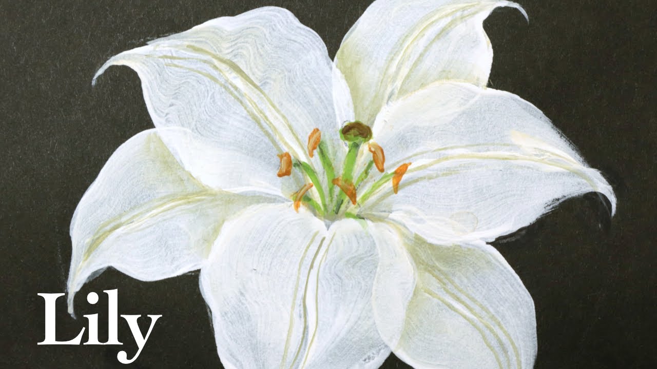 Lily painting tutorial with acrylic | White ( in 3.5 Minutes )