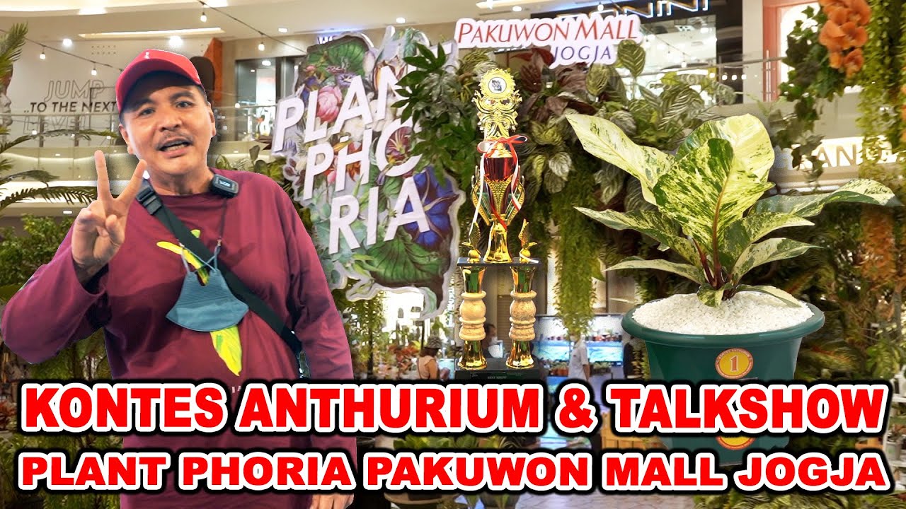 Kontest Anthhurium & Talkshow Plant Phoria Pakuwon Mall Yogyakarta 2023 | Episode 87