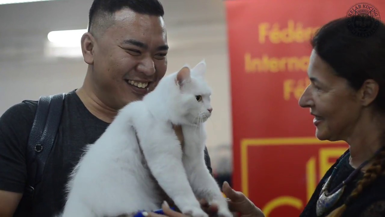 KELAB KUCING MALAYSIA - Pets Lover Fiesta 2018 International Cat Show - Part 5/11