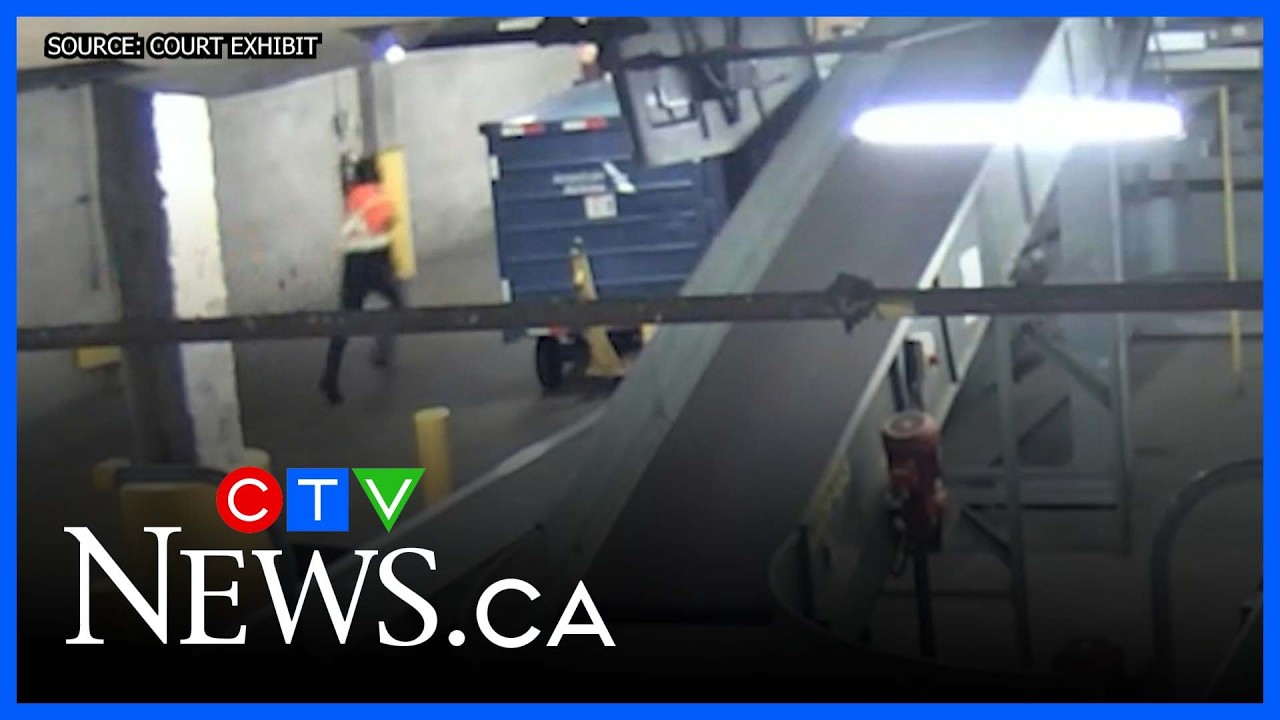 Dramatic video shows takedown of baggage handler at Toronto's Pearson airport