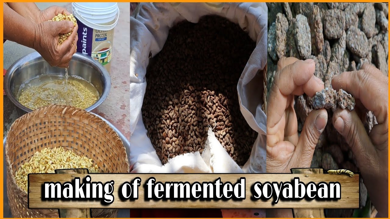 PROCESS and MAKING of fermented soyabean(HAWAIJAR) || MANIPURI home cooking || NORTHEAST Indian food