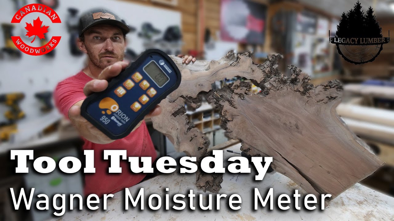 Tool Tuesday - Moisture Meter